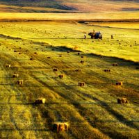 landscapes-243a