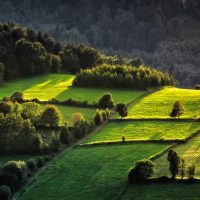 polish-landscape